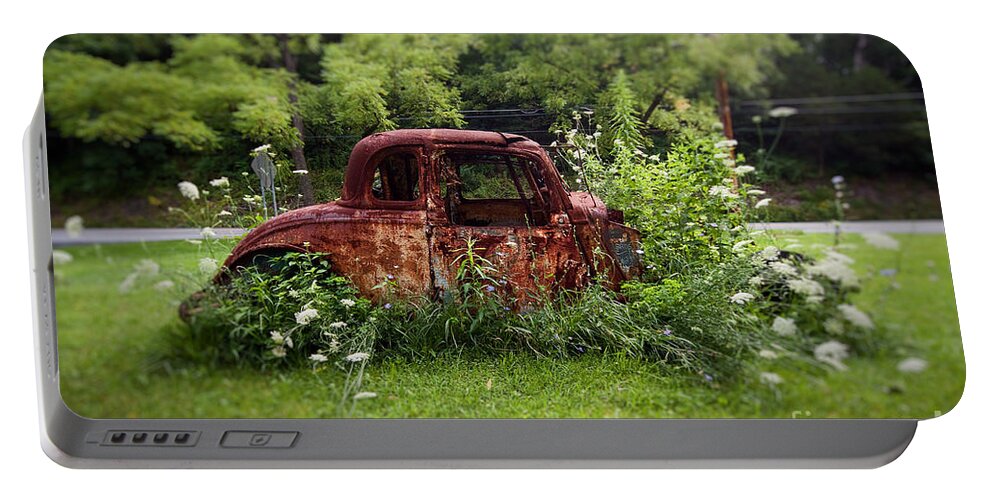 Rust Portable Battery Charger featuring the photograph Lawn Ornament by Rick Kuperberg Sr
