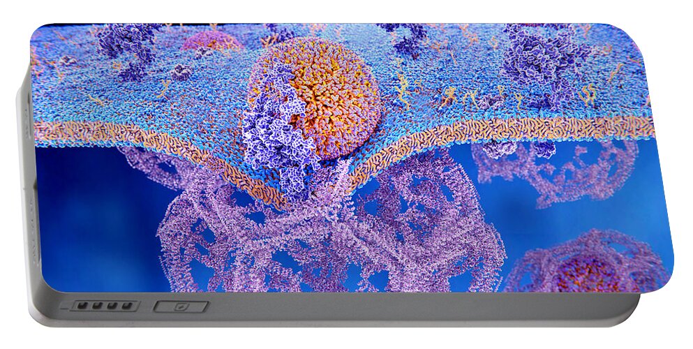 3d Artwork Portable Battery Charger featuring the photograph Ldl Particles Binding To Ldl Receptors by Juan Gaertner