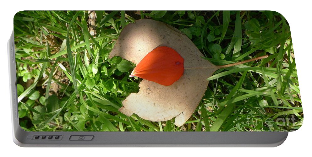  Portable Battery Charger featuring the photograph Leaf and flower petal by Nora Boghossian