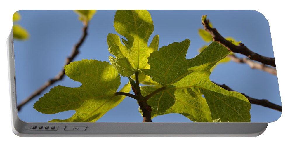 Leaf Portable Battery Charger featuring the photograph Leaf by Deprise Brescia