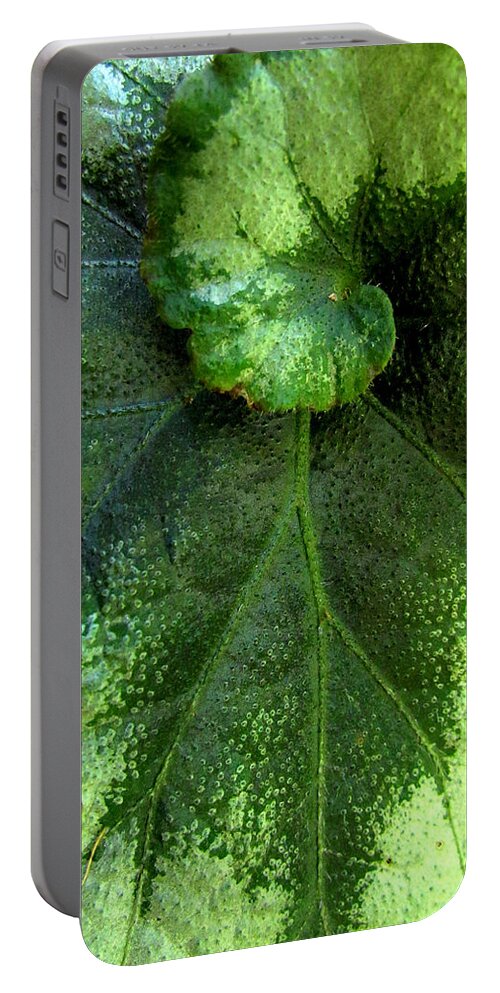 Leaf Portable Battery Charger featuring the photograph Leafy Greens by Lori Lafargue