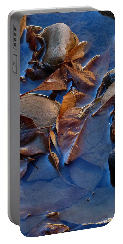 Leaf Portable Battery Charger featuring the photograph Leaves in Iridescent Water by Marcia Socolik