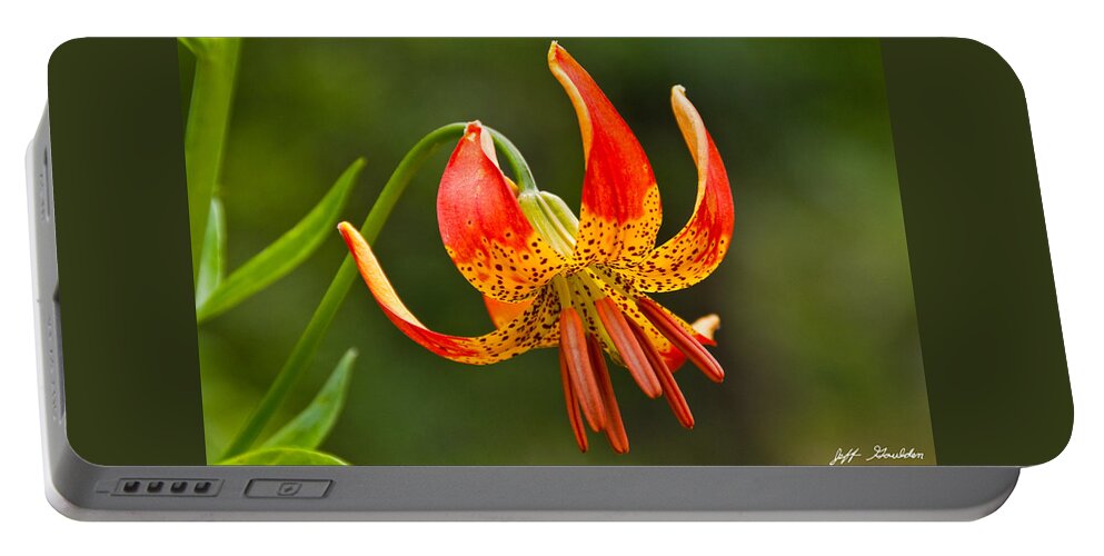 Beauty In Nature Portable Battery Charger featuring the photograph Leopard Lily in Bloom by Jeff Goulden