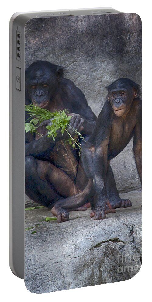 Mammal Portable Battery Charger featuring the photograph Lessons from Mom-The Kitchen by Douglas Barnard