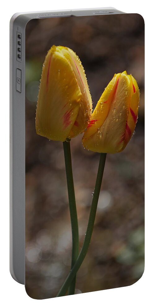 Flower Portable Battery Charger featuring the photograph Lets Dance by Jean-Pierre Ducondi