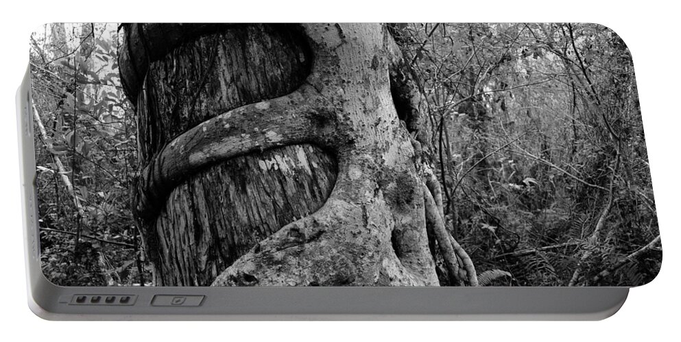 Strangler Fig Portable Battery Charger featuring the photograph Life in the Hammock by David Lee Thompson