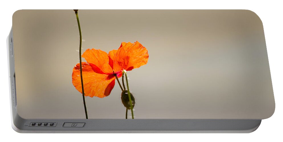Poppy Portable Battery Charger featuring the photograph Life by Spikey Mouse Photography