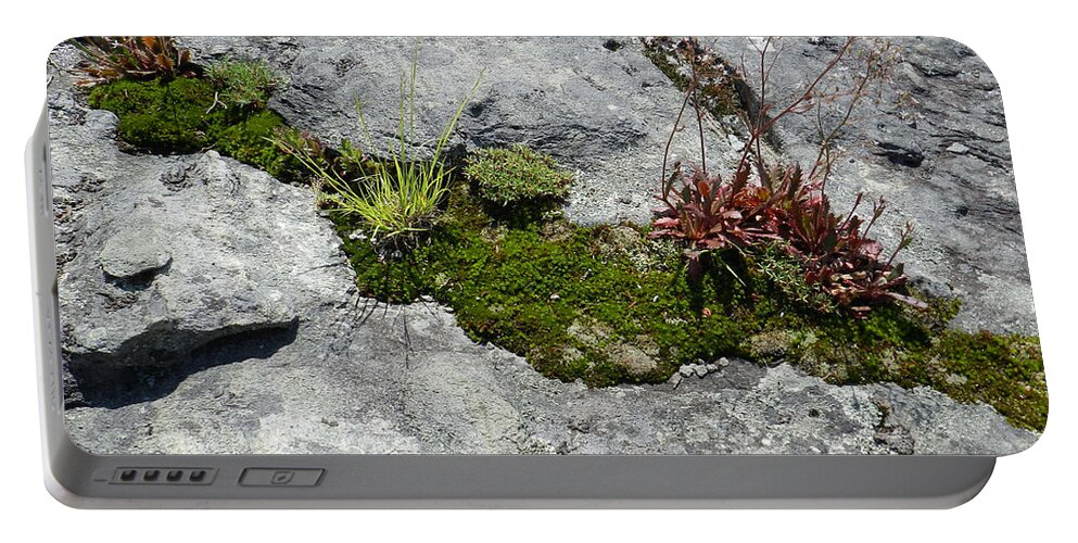 Nature Portable Battery Charger featuring the photograph Life on the Mountain by Deborah Ferree