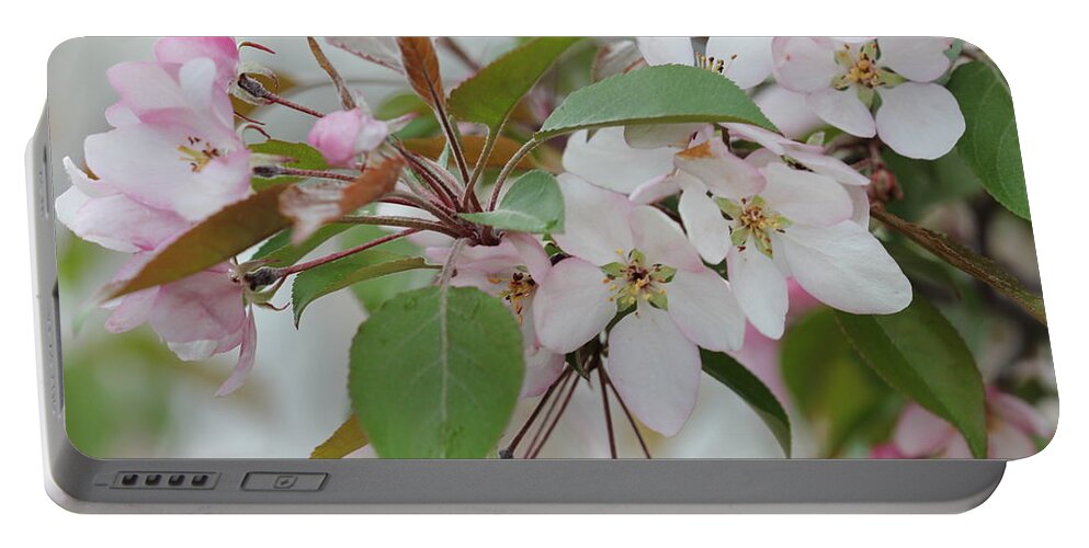 Landscape Portable Battery Charger featuring the photograph Light Pink Crabapple by Donna L Munro