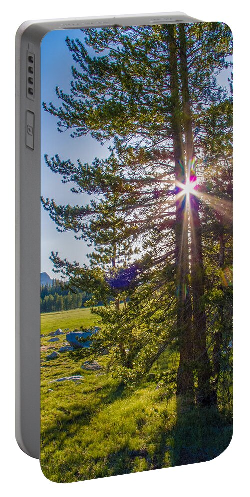 Yosemite National Park Portable Battery Charger featuring the photograph Light Through the Trees by Susan Eileen Evans