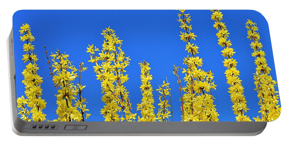 Beautiful Portable Battery Charger featuring the photograph Lighting the Spring sky by Felicia Tica