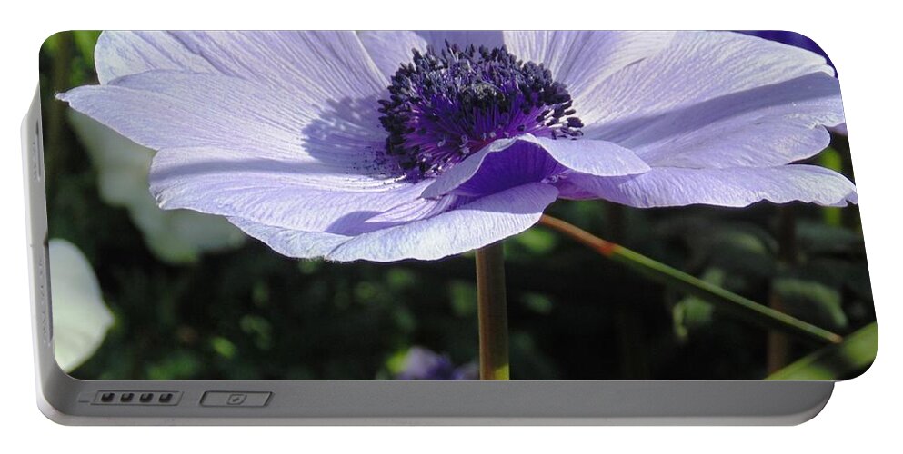 Floral Portable Battery Charger featuring the photograph Lilac Anemone by Karin Dawn Kelshall- Best
