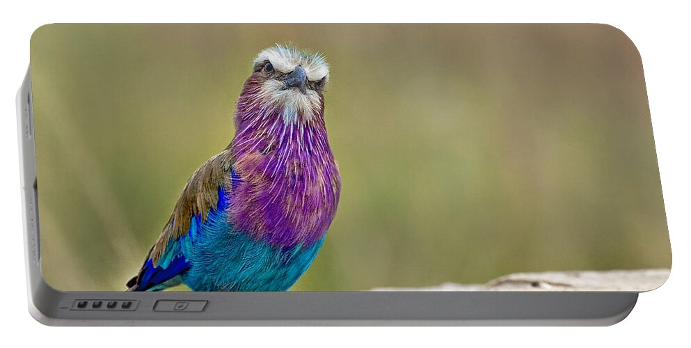 Africa Portable Battery Charger featuring the photograph Lilac Breasted Roller With Attitude by Timothy Hacker