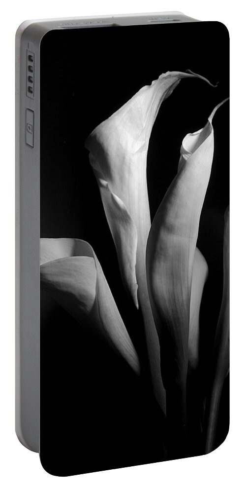 Flower Portable Battery Charger featuring the photograph Lily 4 by Joe Kozlowski