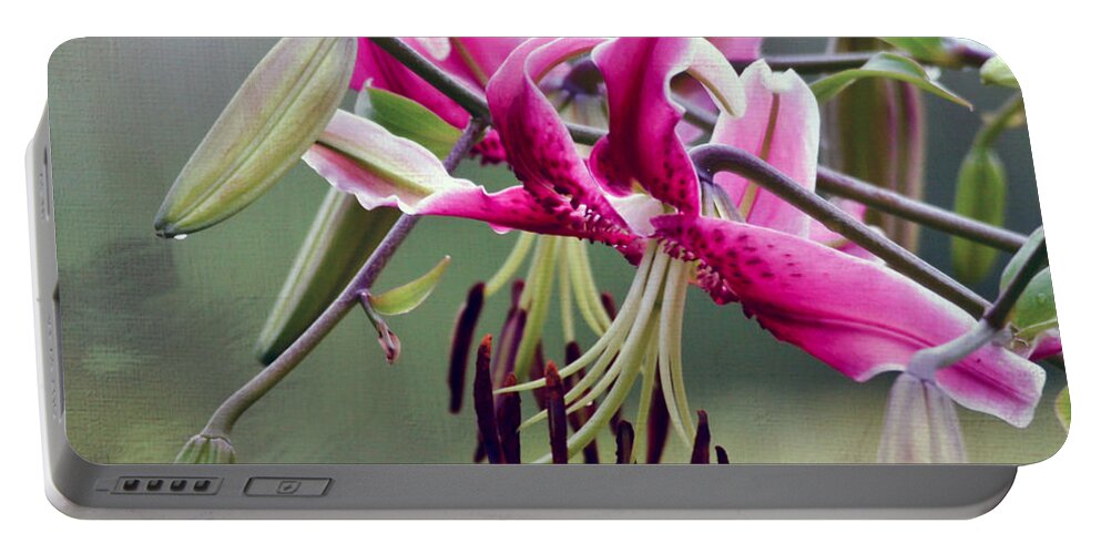 Flower Portable Battery Charger featuring the photograph Lily in the Pink by Kerri Farley