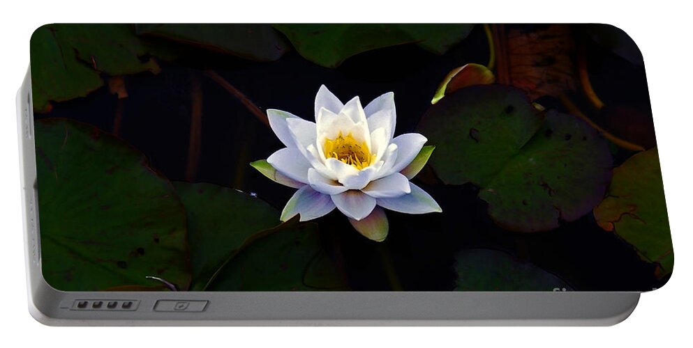 Water Lily Portable Battery Charger featuring the photograph Lily White by Nina Ficur Feenan
