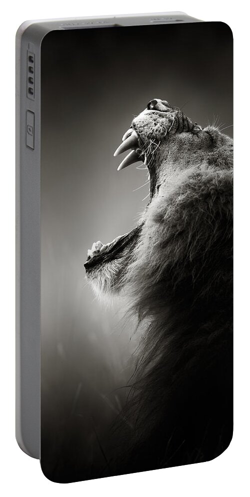 Lion Portable Battery Charger featuring the photograph Lion displaying dangerous teeth by Johan Swanepoel