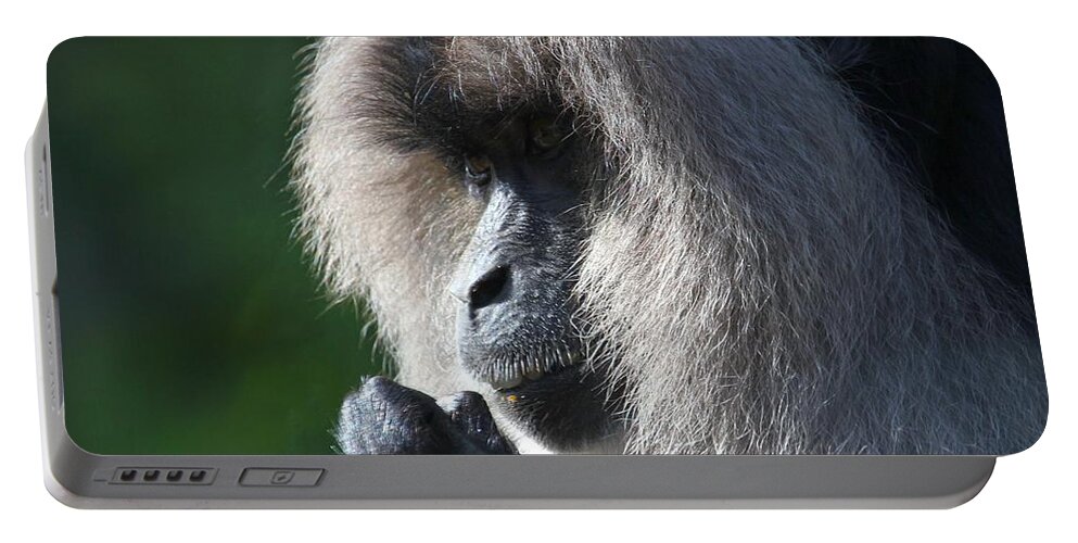 Animal Portable Battery Charger featuring the photograph Lion Tailed Macaque by Davandra Cribbie