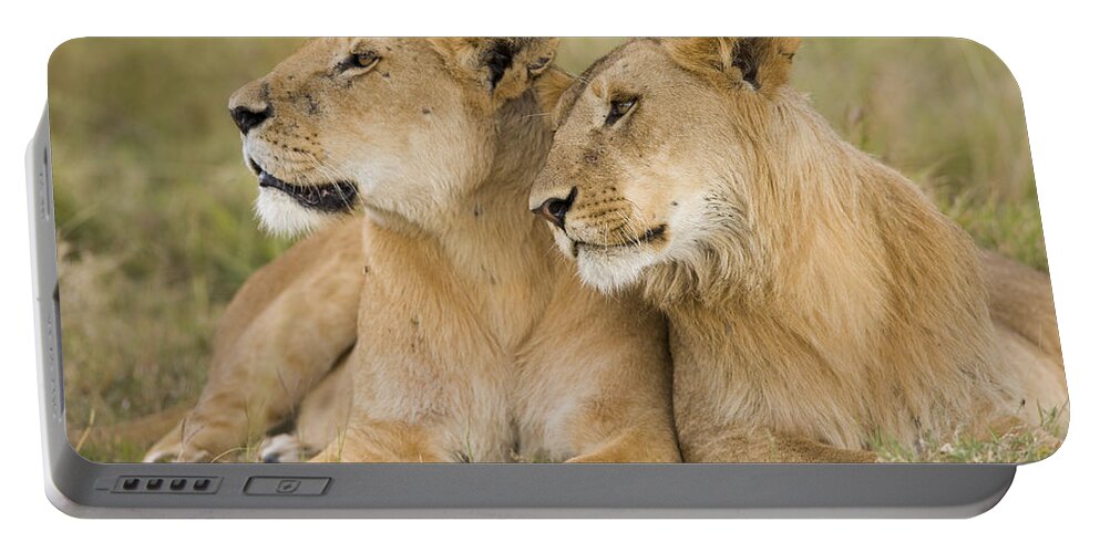 Flpa Portable Battery Charger featuring the photograph Lioness With Immature Male Masai Mara by Elliott Neep