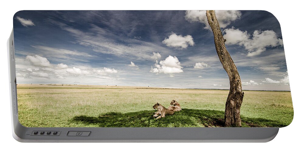 Africa Portable Battery Charger featuring the photograph Lions In The Shade - Selenium Toned by Mike Gaudaur