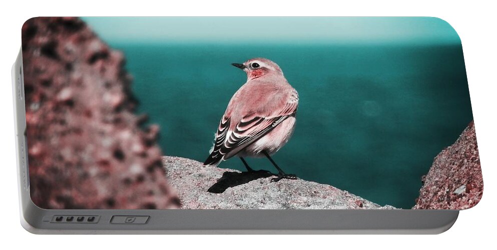 Wheatear Portable Battery Charger featuring the photograph Listening To The Sea by Zinvolle Art