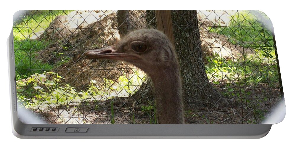 Female Ostrich Headshot While In Her Pen. Portable Battery Charger featuring the photograph Little Bird by Belinda Lee