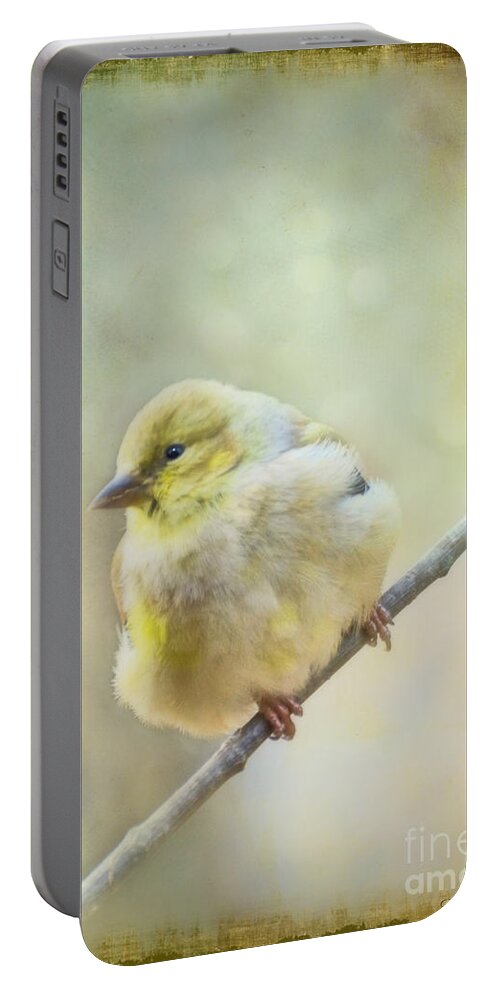 Wild Portable Battery Charger featuring the photograph Little Softie Gold Finch II by Debbie Portwood