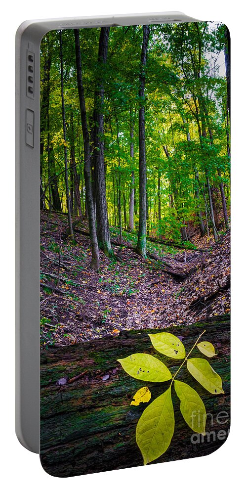 Defiance Portable Battery Charger featuring the photograph Little Valley by Michael Arend