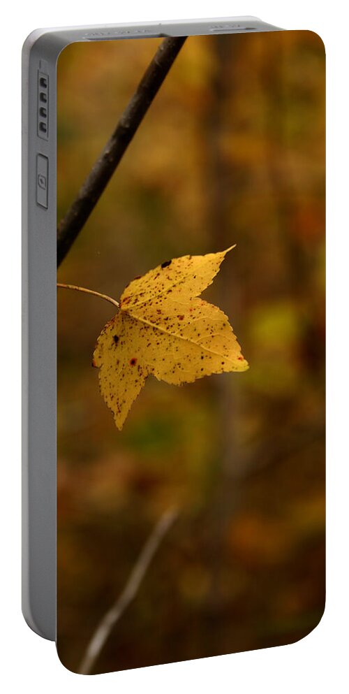 Autumn Portable Battery Charger featuring the photograph Little Yellow Leaf by Karen Harrison Brown