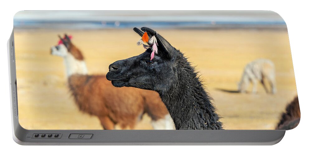 Llama Portable Battery Charger featuring the photograph Llama Closeup by Jess Kraft