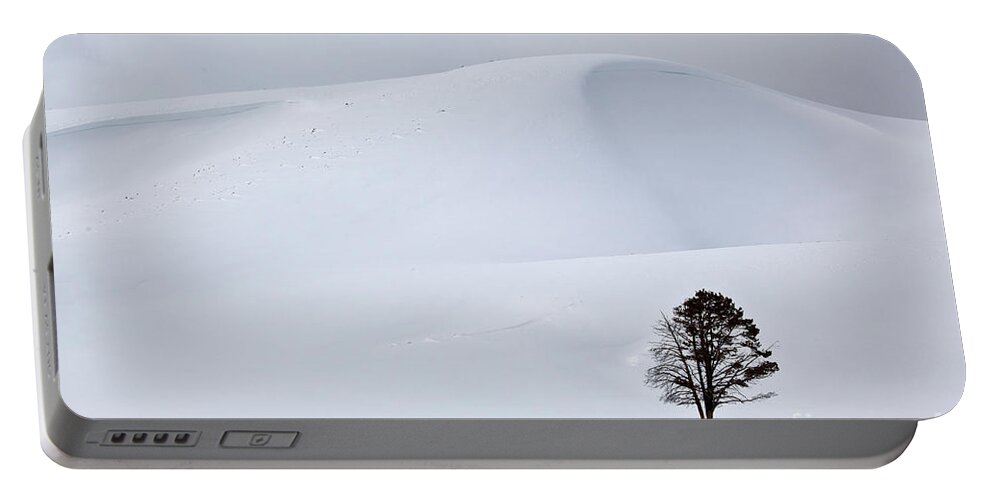 Yellowstone Portable Battery Charger featuring the photograph Lodgepole Pine in Snowy Landscape by Greg Dimijian and Photo Researchers