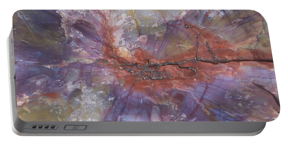 Flpa Portable Battery Charger featuring the photograph Logs Petrified Into Quartz Arizona by David Hosking