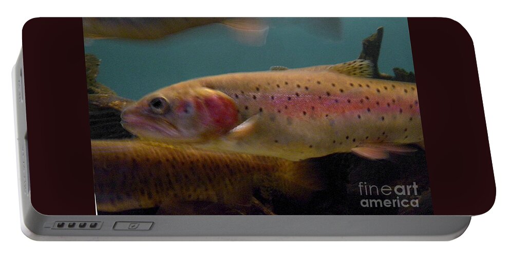 Animal Portable Battery Charger featuring the photograph Lohontan Cutthroat Trout by Ron Sanford