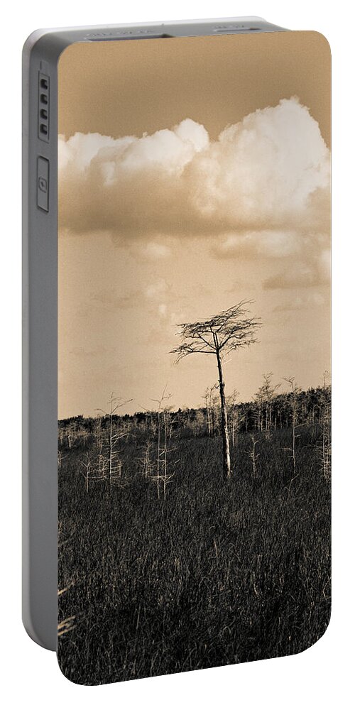 Art Portable Battery Charger featuring the photograph lone cypress III by Gary Dean Mercer Clark