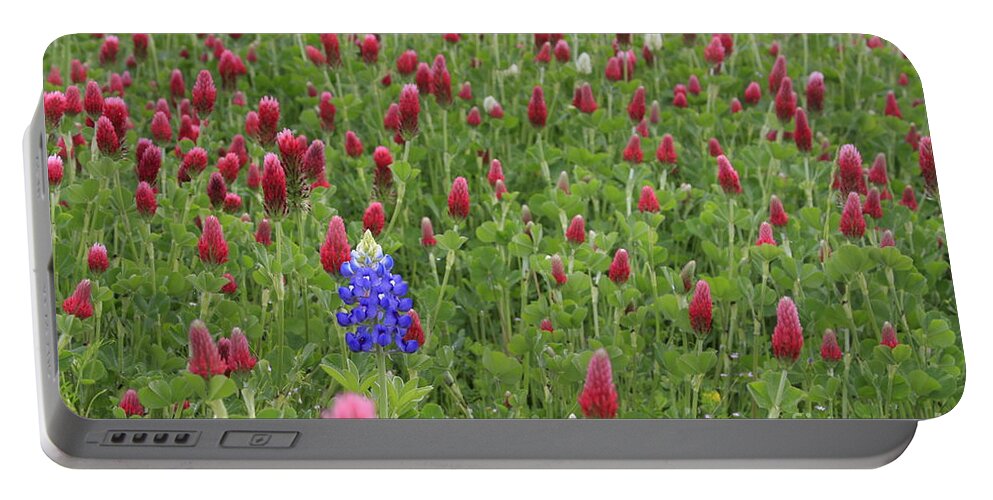 Texas Portable Battery Charger featuring the photograph Lonely Bluebonnet by Jerry Bunger