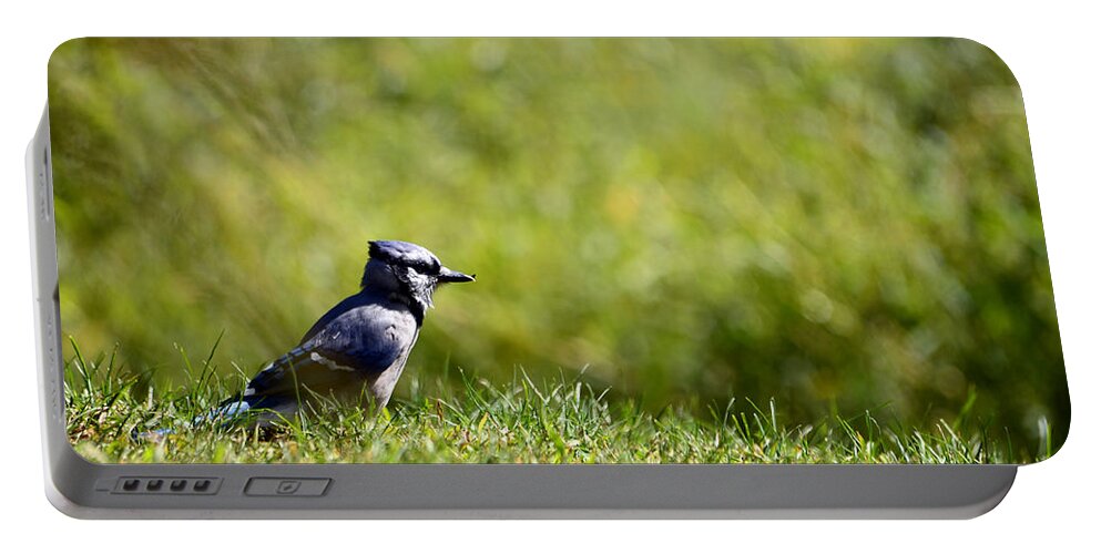 Blue Jay Portable Battery Charger featuring the photograph Lonesome and Blue by Lori Tambakis