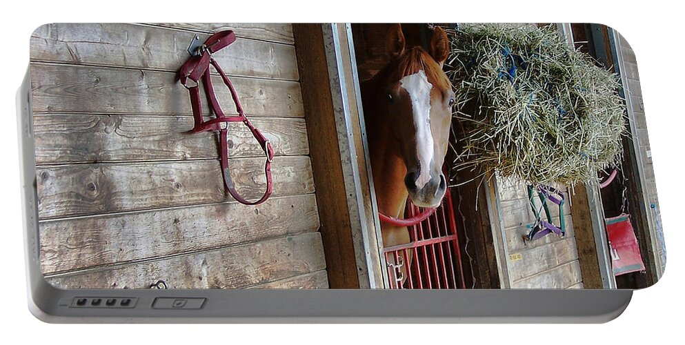 Race Horse Portable Battery Charger featuring the photograph Lonesome by Ron Roberts