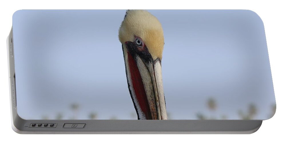 Wild Portable Battery Charger featuring the photograph Look Into My Eye by Christy Pooschke