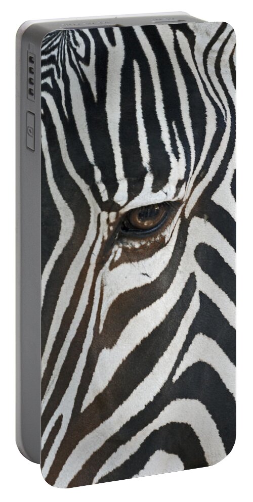 Zebras Portable Battery Charger featuring the photograph Look into my eye by Ernest Echols