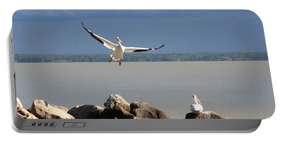 Nature Portable Battery Charger featuring the photograph Look Ma - I can Fly by Mary Mikawoz