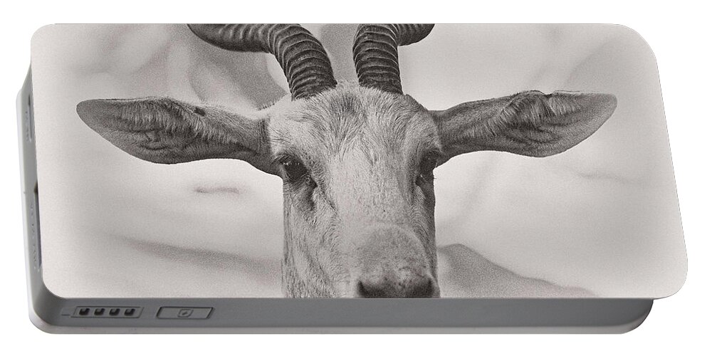 Animal Portable Battery Charger featuring the photograph Look Straight by Jonathan Nguyen