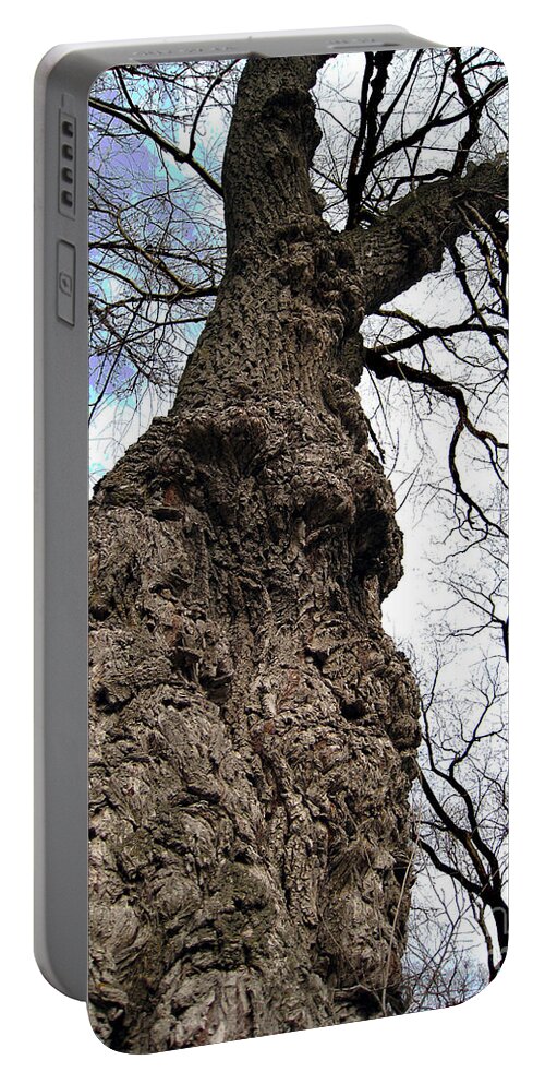 Trees Portable Battery Charger featuring the photograph Look Up Look Way Up by Nina Silver