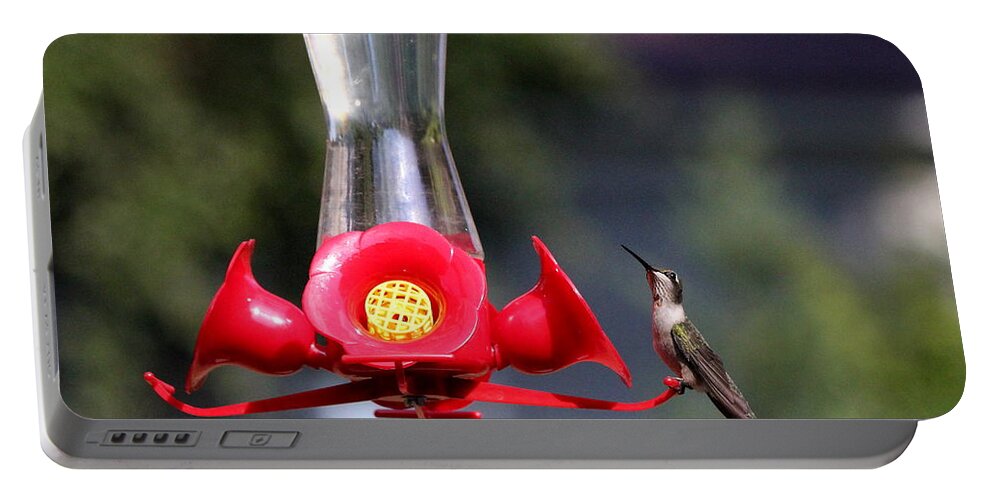 Birds Portable Battery Charger featuring the photograph Looking by Reid Callaway