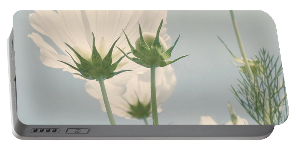 Flower Portable Battery Charger featuring the photograph Looking Up by Kim Hojnacki