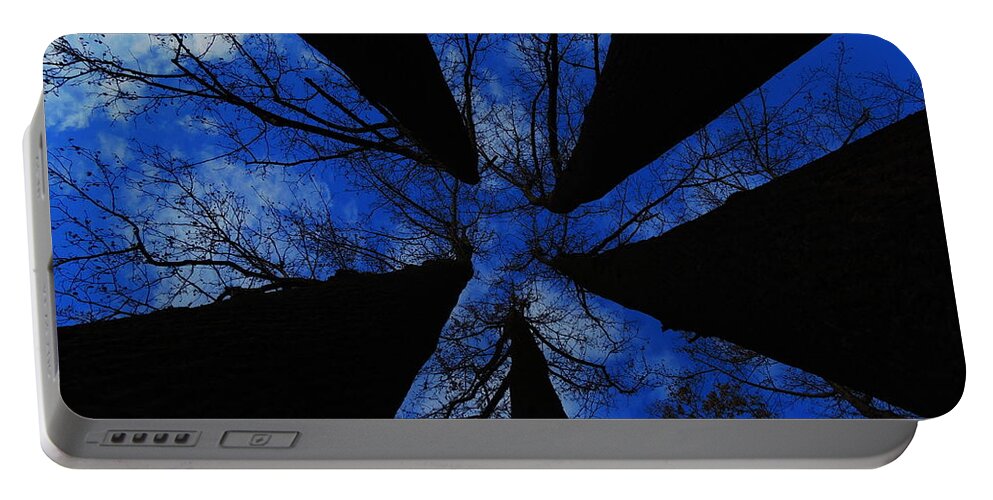 Trees Portable Battery Charger featuring the photograph Looking Up by Raymond Salani III