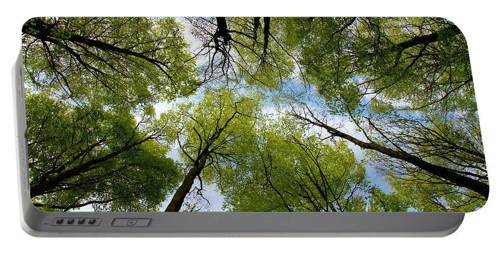 Tree Portable Battery Charger featuring the digital art Looking up by Ron Harpham