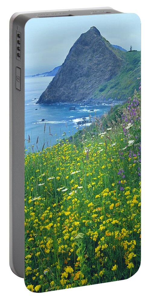 Lookout Rock Portable Battery Charger featuring the photograph 1A5480-Lookout Rock Wildflowers by Ed Cooper Photography