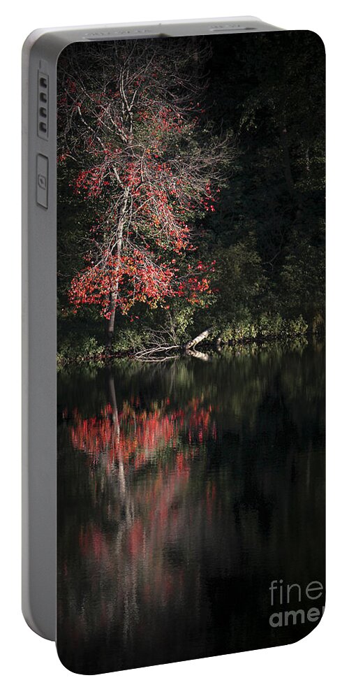 Kremsdorf Portable Battery Charger featuring the photograph Lost In The Autumn Of Eternity by Evelina Kremsdorf