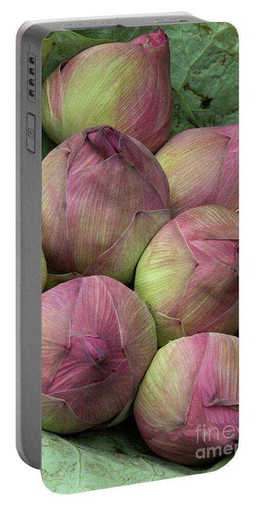Bunch Portable Battery Charger featuring the photograph Lotus Buds by Rick Piper Photography