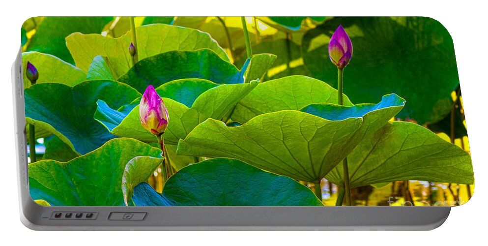 Lotus Pond Portable Battery Charger featuring the photograph Lotus Garden by Roselynne Broussard